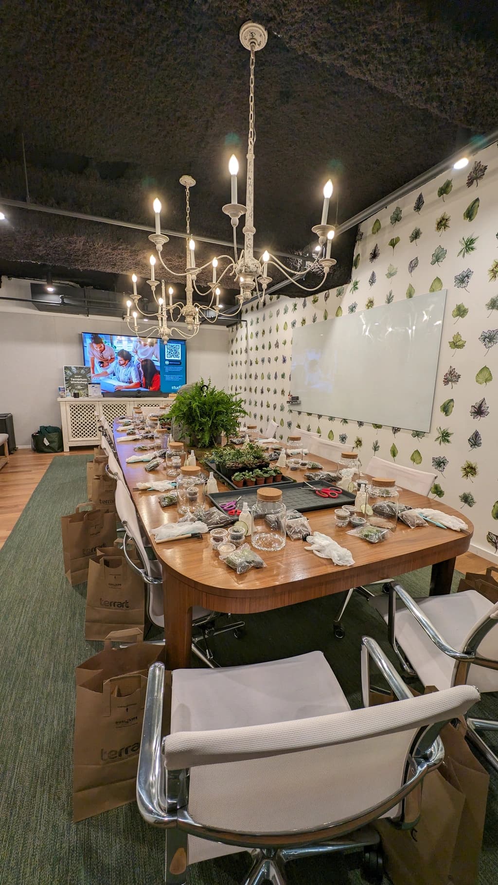 A beautifully set table for a succulent ornament workshop, complete with supplies and plants arranged under a chandelier.