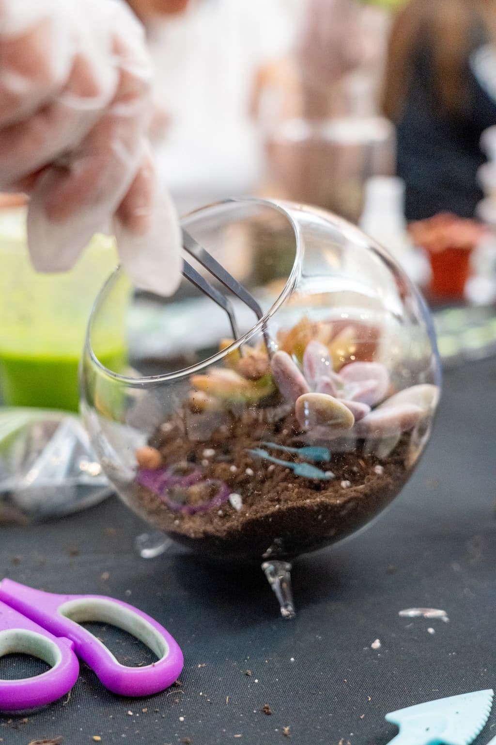 Close-up of someone arranging a tiny succulent inside a glass terrarium using tweezers during a succulent ornament class.