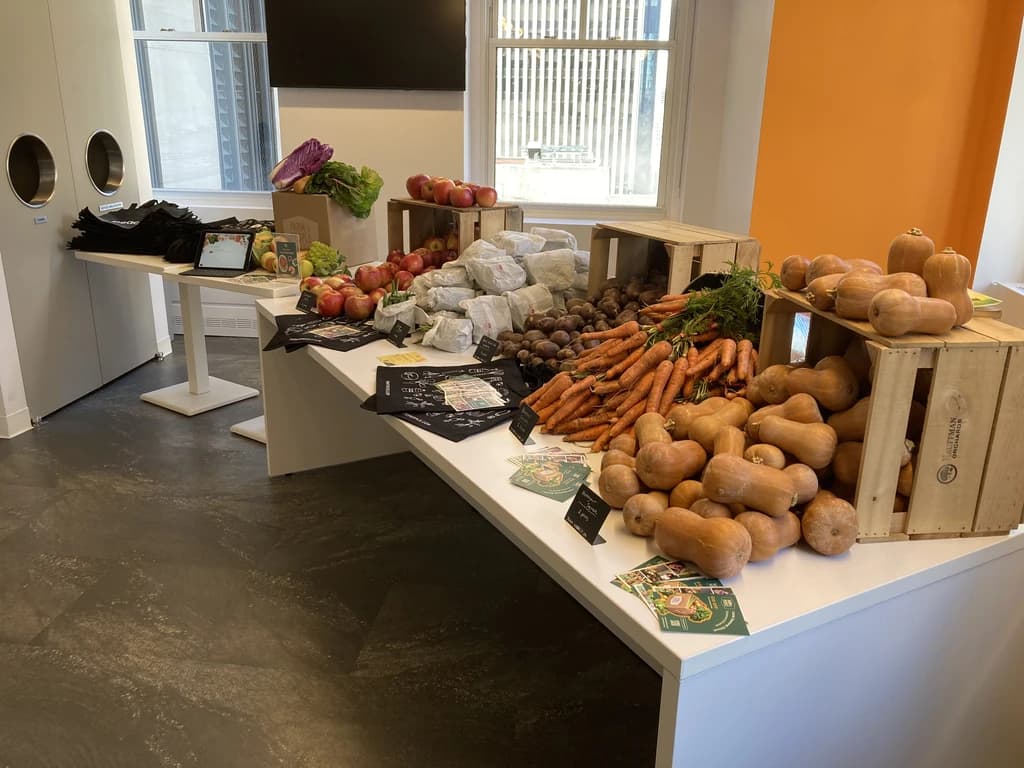 A farmer's market display showcasing a variety of fresh produce including apples, carrots, and squash, arranged in wooden crates on a white table.