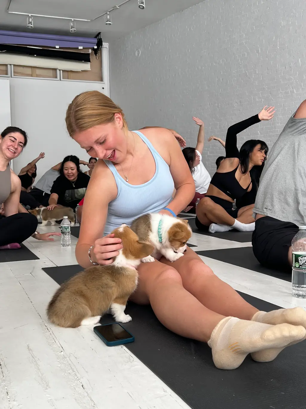 a person doing yoga and a puppy sitting in her lap