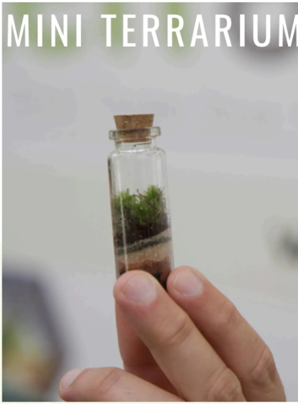 A collection of various terrariums, including flask and light bulb designs, displayed on moss-covered stones.