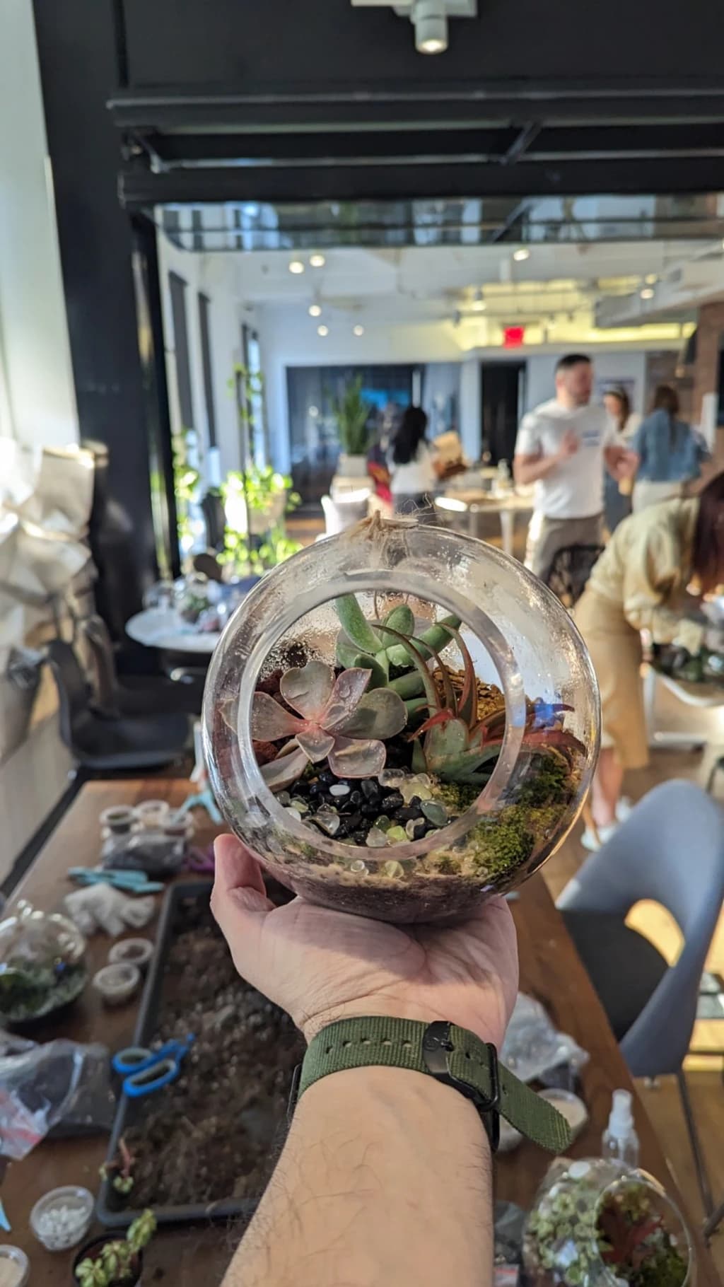 a close up of someone holding a terrarium with their plants inside